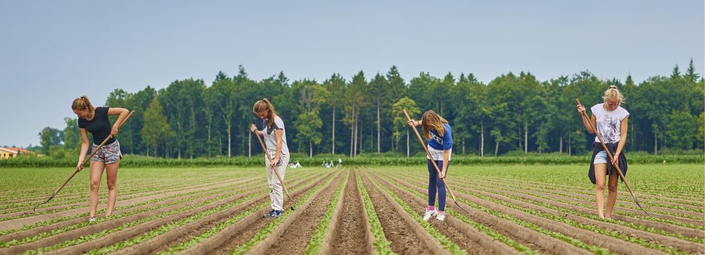 jongeren aan het wieden