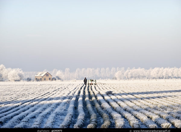 Winterfoto op het land