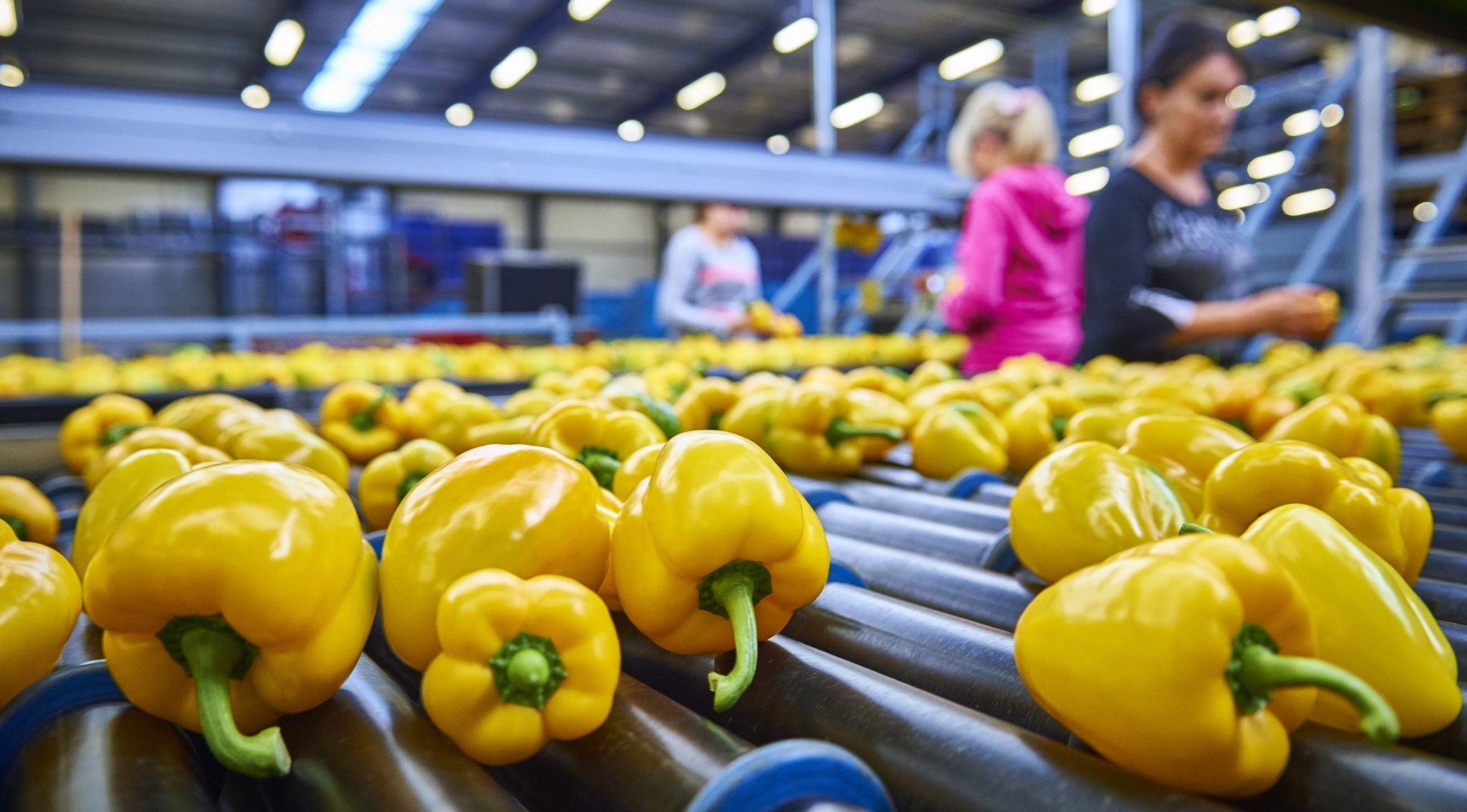 Jaarurenmodel Cao Glastuinbouw Toegelicht - Werkgeverslijn