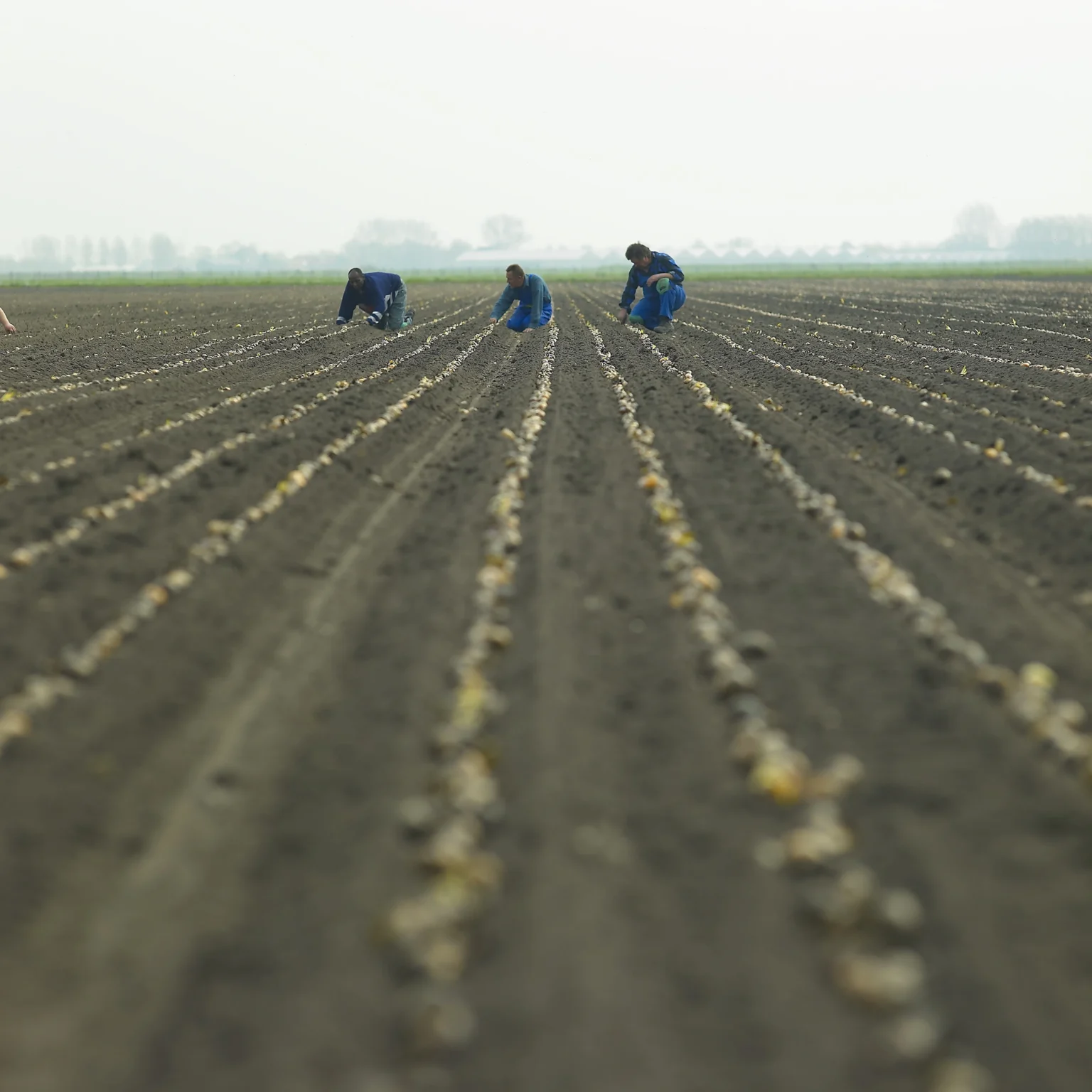 Afstandvergoeding Cao Open Teelten Per 1 Januari 2024 - Werkgeverslijn