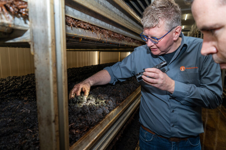 Praktijkles vakopleiding Paddenstoelen